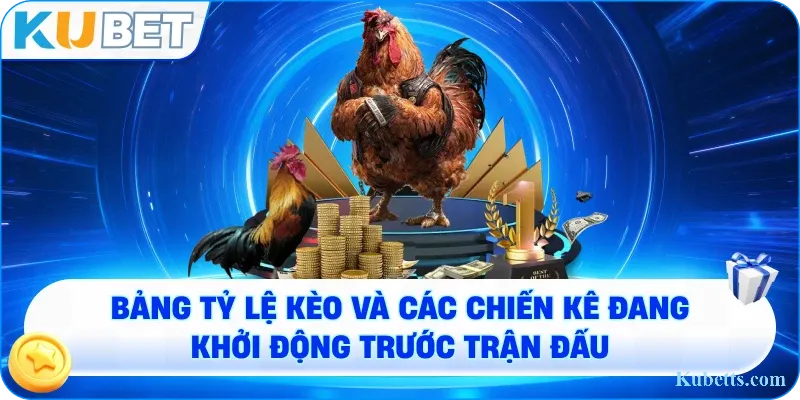 Bảng tỷ lệ kèo và các chiến kê đang khởi động trước trận đấu