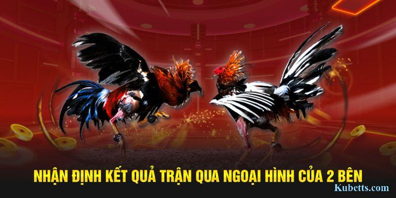 Nhận định kết quả trận qua ngoại hình của 2 bên 