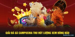 da ga campuchia giai dau chien ke thu hut nhieu nguoi xem - KUBET